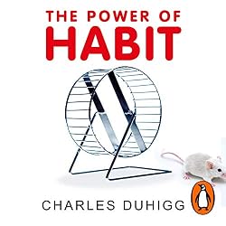 The Very Best Audiobooks To 'Read' For Positivity This Year - 51PYOgYkGyL. SL250