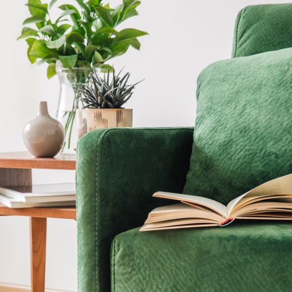 Closeup of a green sofa with plants on table behind